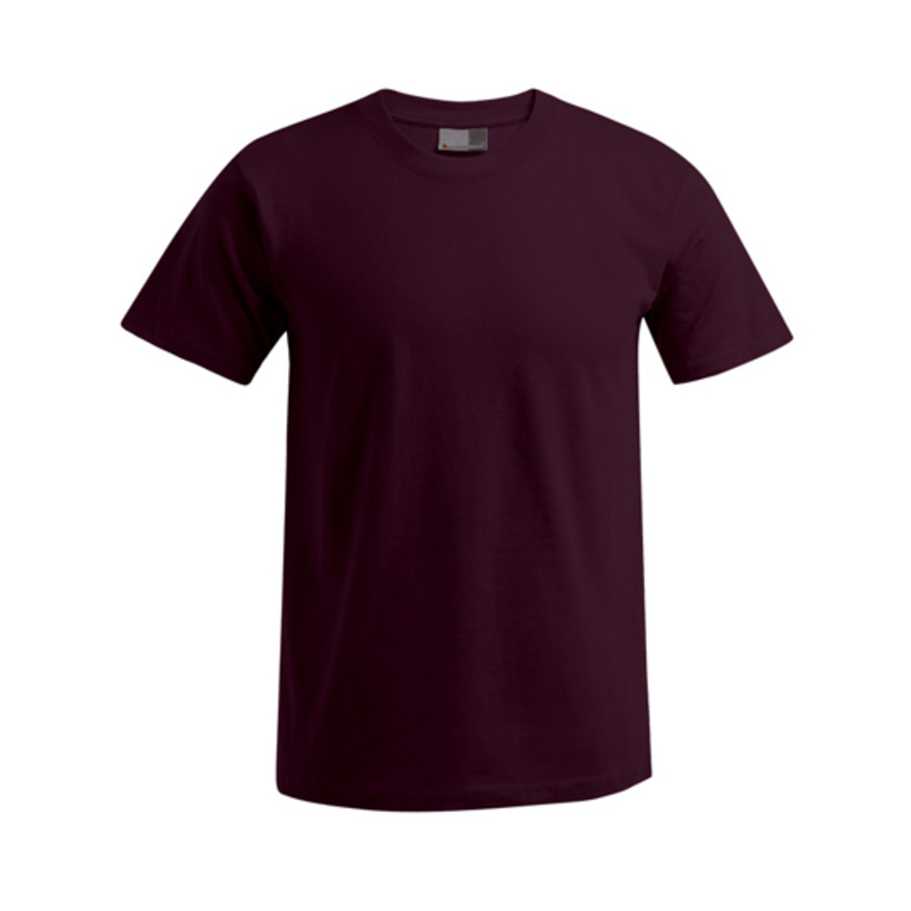 Men´s Premium-T