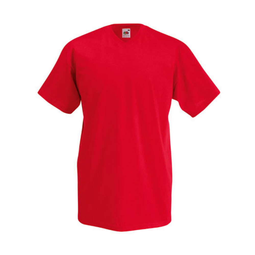 Valueweight V-Neck T