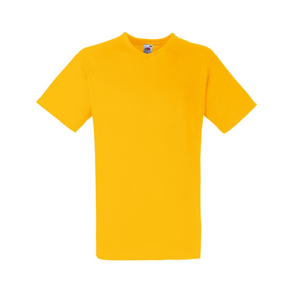 Valueweight V-Neck T