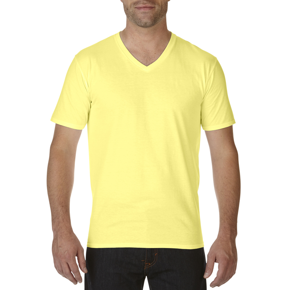 Premium Cotton® V-Neck T-Shirt