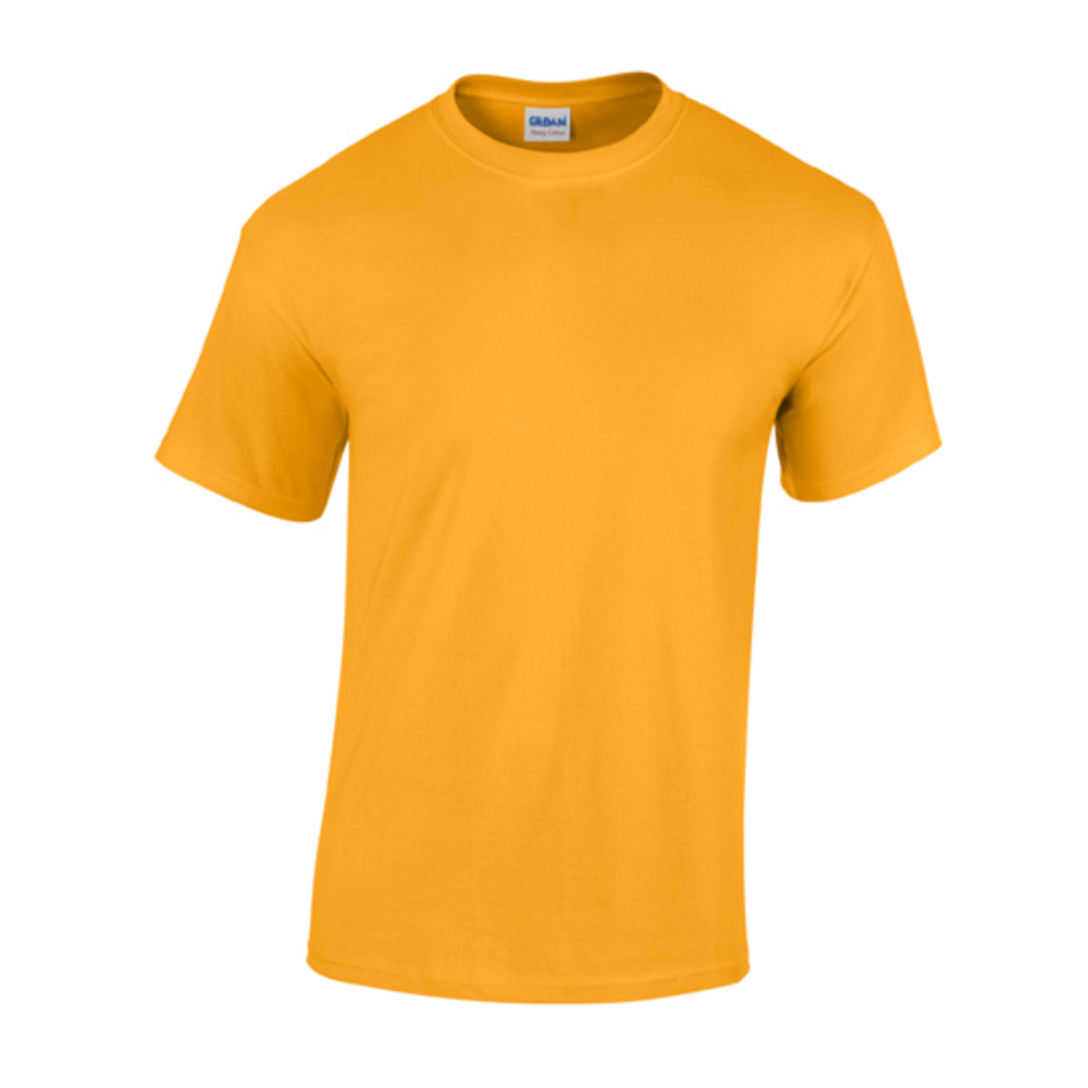 Heavy Cotton™ T- Shirt