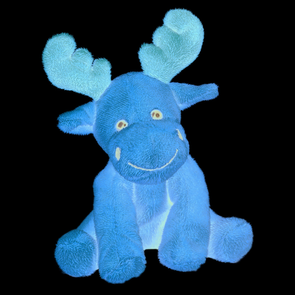 Zootier Elch Emil