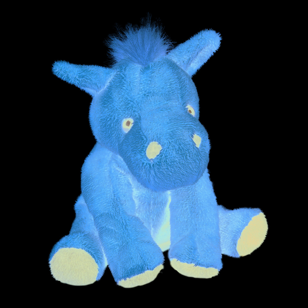 Zootier Pferd Claudia