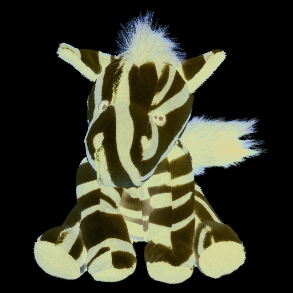 Zootier Zebra Zora