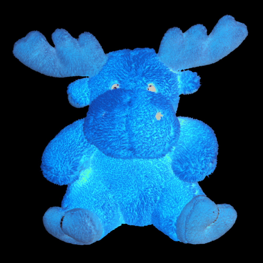 Moose Caro