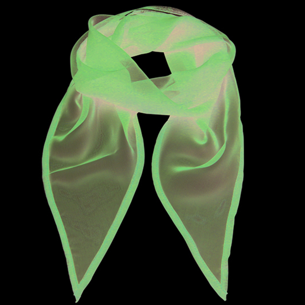 Womens Colour Chiffon Scarf