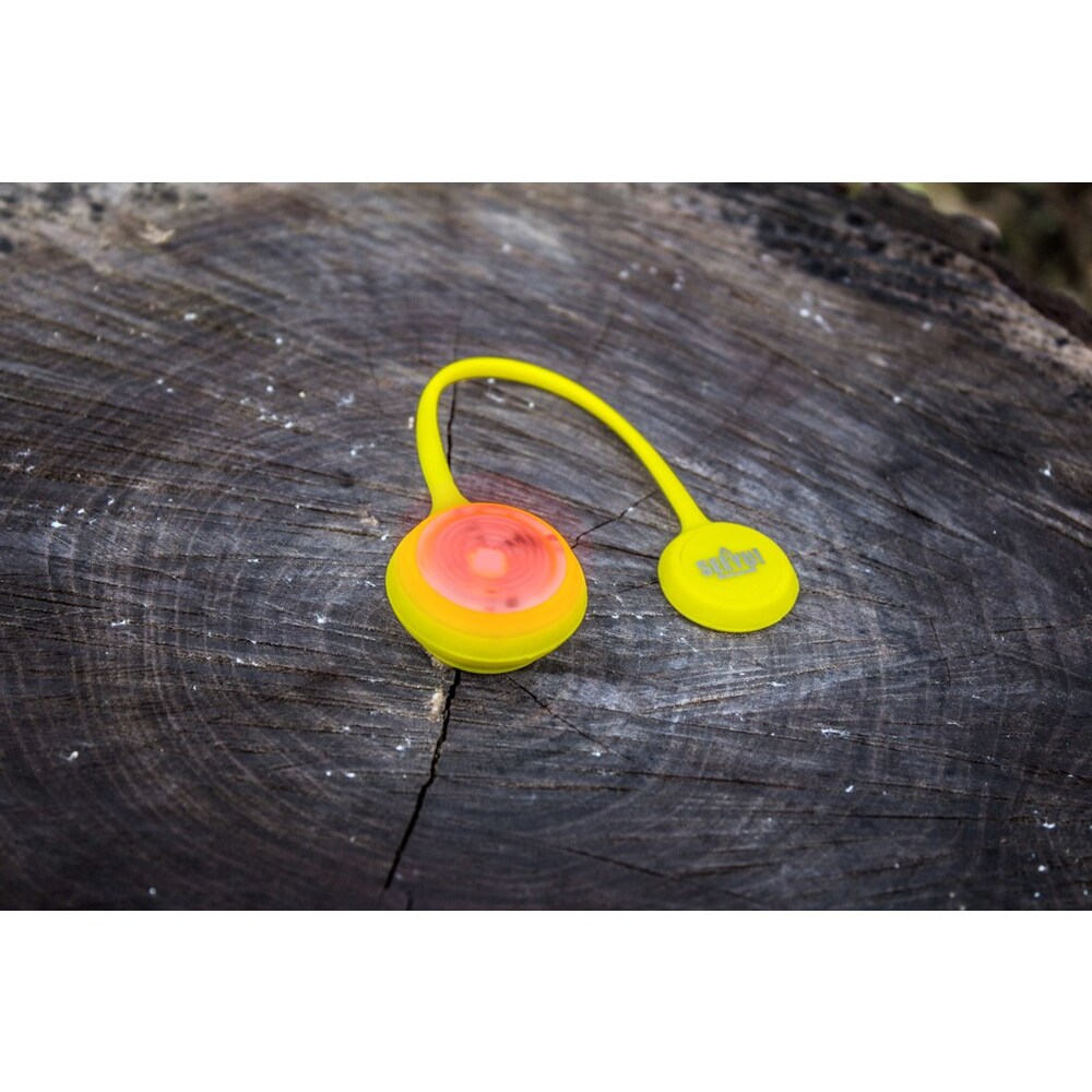 Neon LED Lumière magnétique