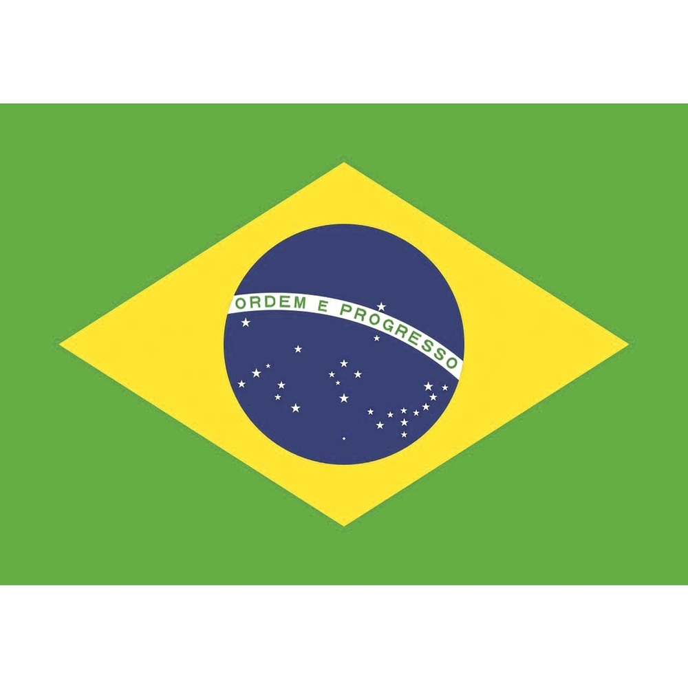 Fahne Brasilien