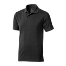 Calgary Polo