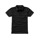 Markham Polo