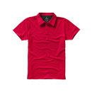 Markham Polo