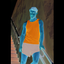 Mens Performance Vest
