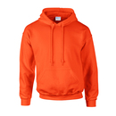 DryBlend® hooded sweatshirt