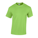 Heavy Cotton™ T- Shirt