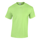 Heavy Cotton™ T- Shirt