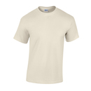 Heavy Cotton™ T- Shirt