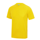 Cool T