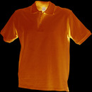 Classic Polo