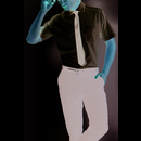 Premium Non Iron Corporate Poplin Shirt Short Sleeve