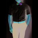 Slim Fit Business Shirt Short Sleeved