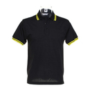Tipped collar polo