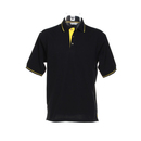 St. Mellion Polo