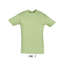 Regent T-Shirt 150