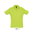 Summer Polo II
