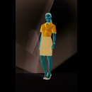 Ladies Poplin Shirt Energy