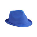 Promotion Hat