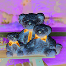 Bracken Bear
