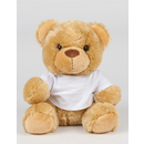 Bear in a T-Shirt