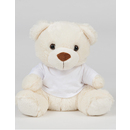 Bear in a T-Shirt