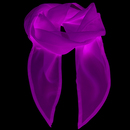 Womens Colour Chiffon Scarf