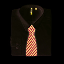 Double Stripe Tie