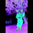 Kids Paddle Rain Suit