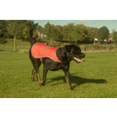 Hi Vis Dog's Vest