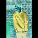 Authentic hooded sweat