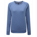Ladies? HD raglan sweatshirt