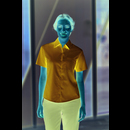 Ladies´ Short Sleeve Pure Cotton Poplin Shirt