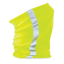 Morf® Enhanced-Viz