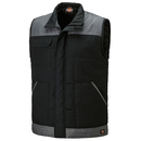 Everyday Vest