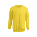 New Men`s Sweater 100