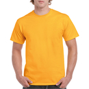 Heavy Cotton™ T- Shirt