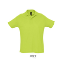 Summer Polo II