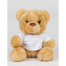 Bear in a T-Shirt
