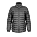 Ladies` Ice Bird Padded Jacket