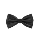 Satin Bow Tie