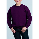 Sudadera jóven de cuello redondo Heavy Blend Youth Crewneck