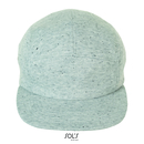 Baldwin Cap